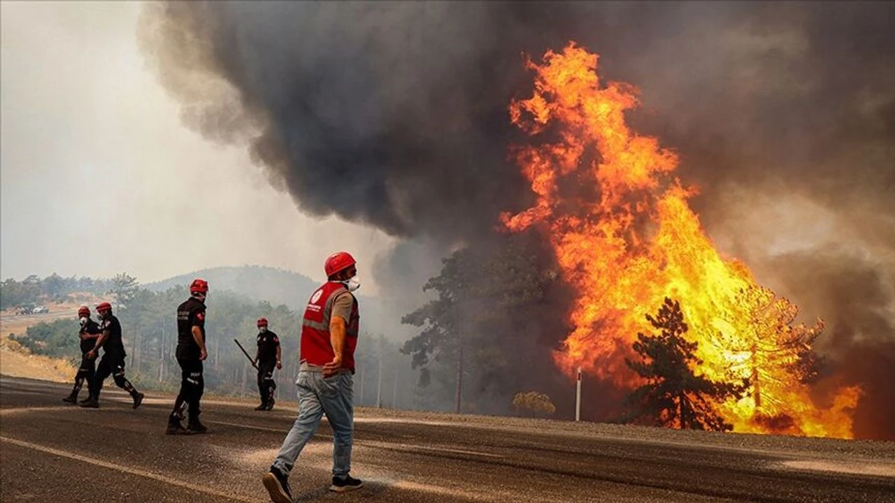 Ogm Vatandaslari Orman Yanginlari Konusunda Uyardi