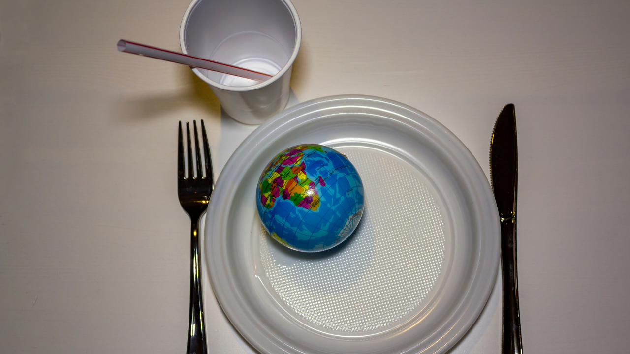 Plastik Pipet Yasakları