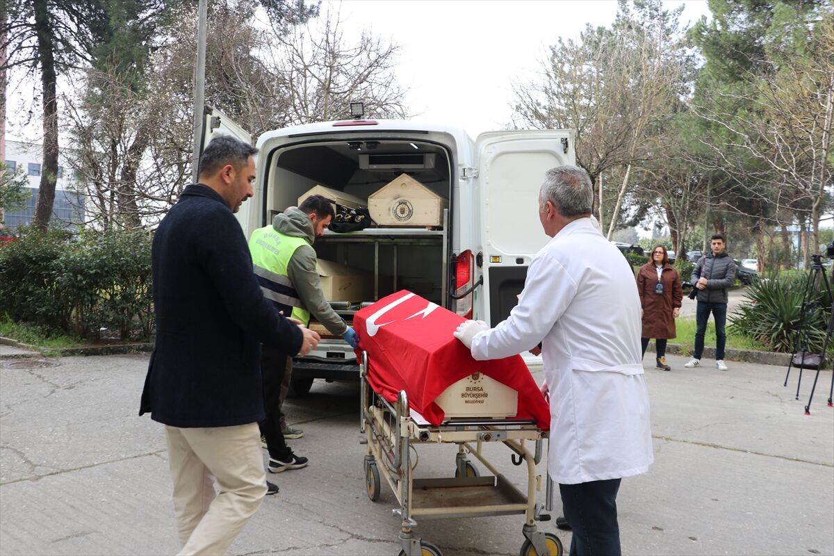 Uludağtıp566666 (2)