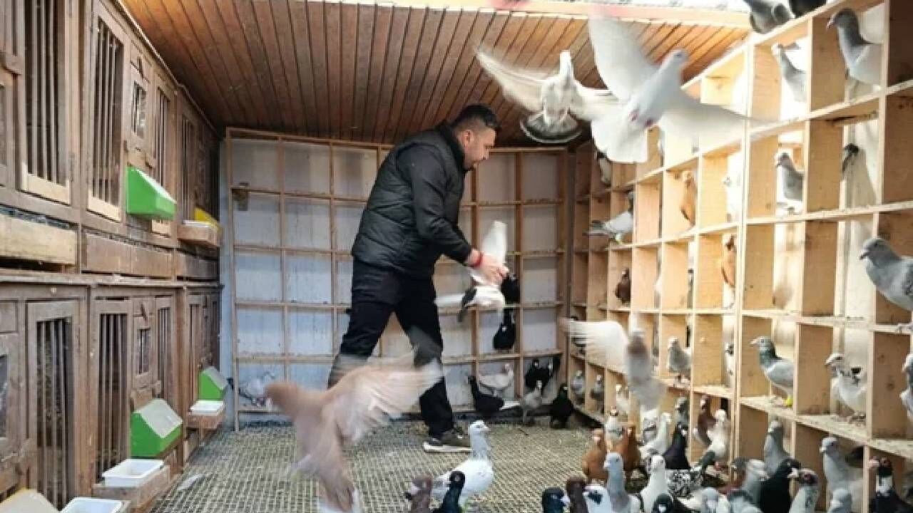 Yeni Proje 2026 03 12T125016.281