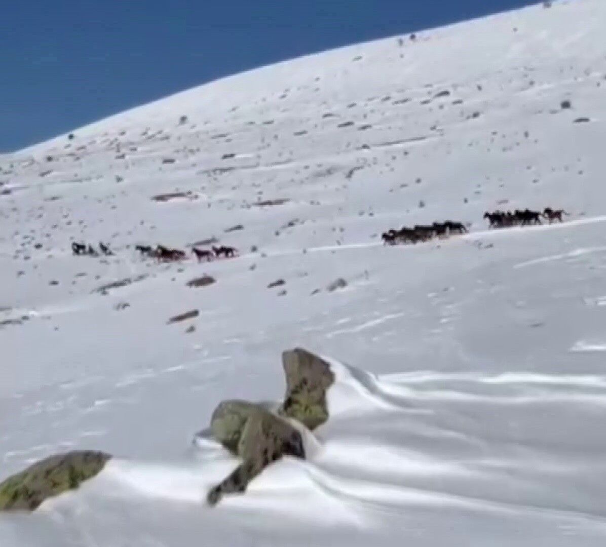 Yıkıatlarıdans4524