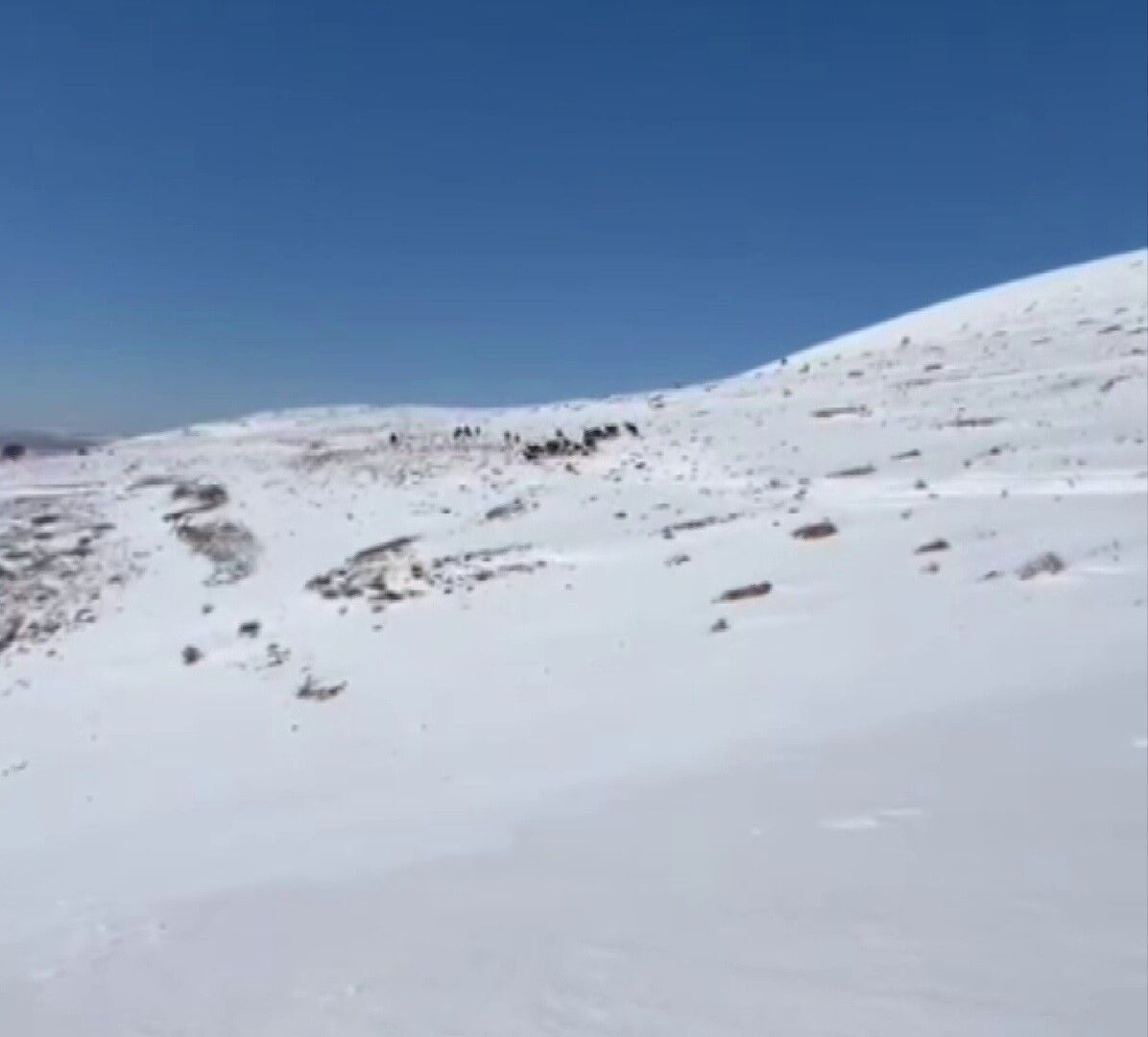 Yıkıatlarıdans4525