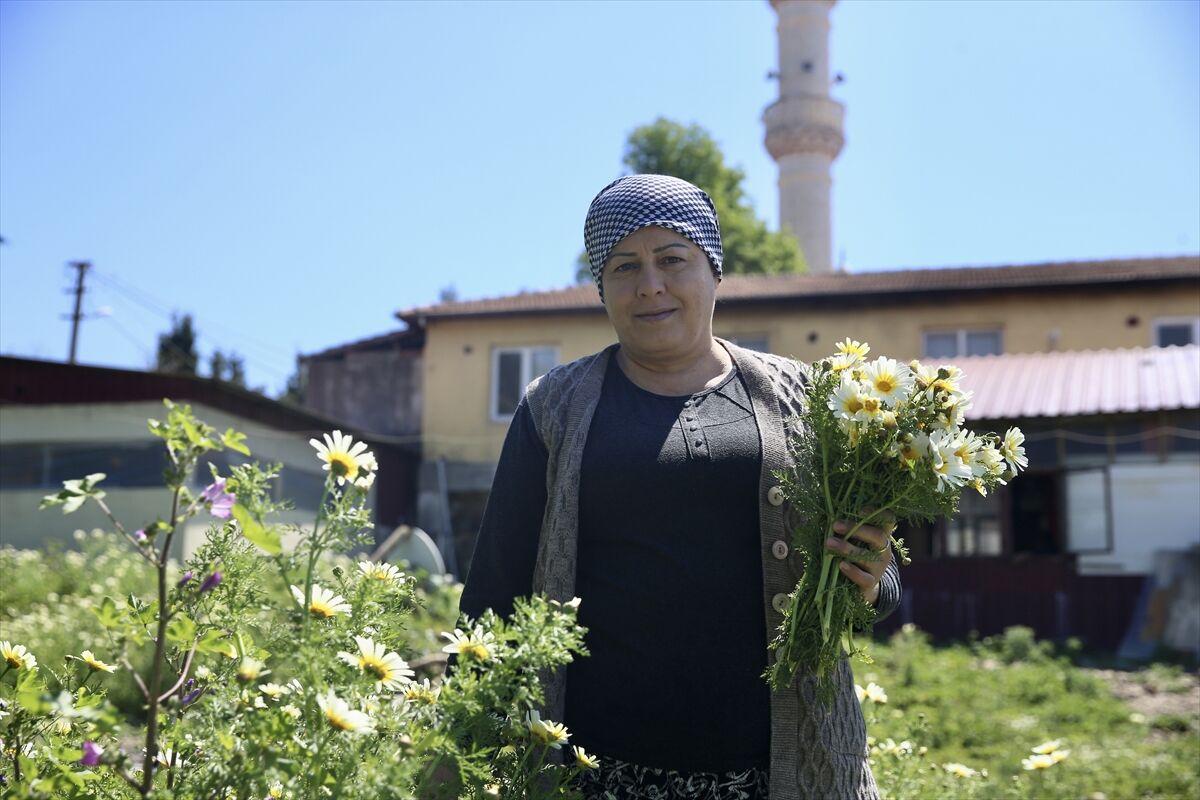 A A 20260410 41069081 41069077 K O C A S I N A Y A R D I M I C I N G I T T I G I C A Y O C A G I N I 14 Y I L D I R I S L E T I Y O R