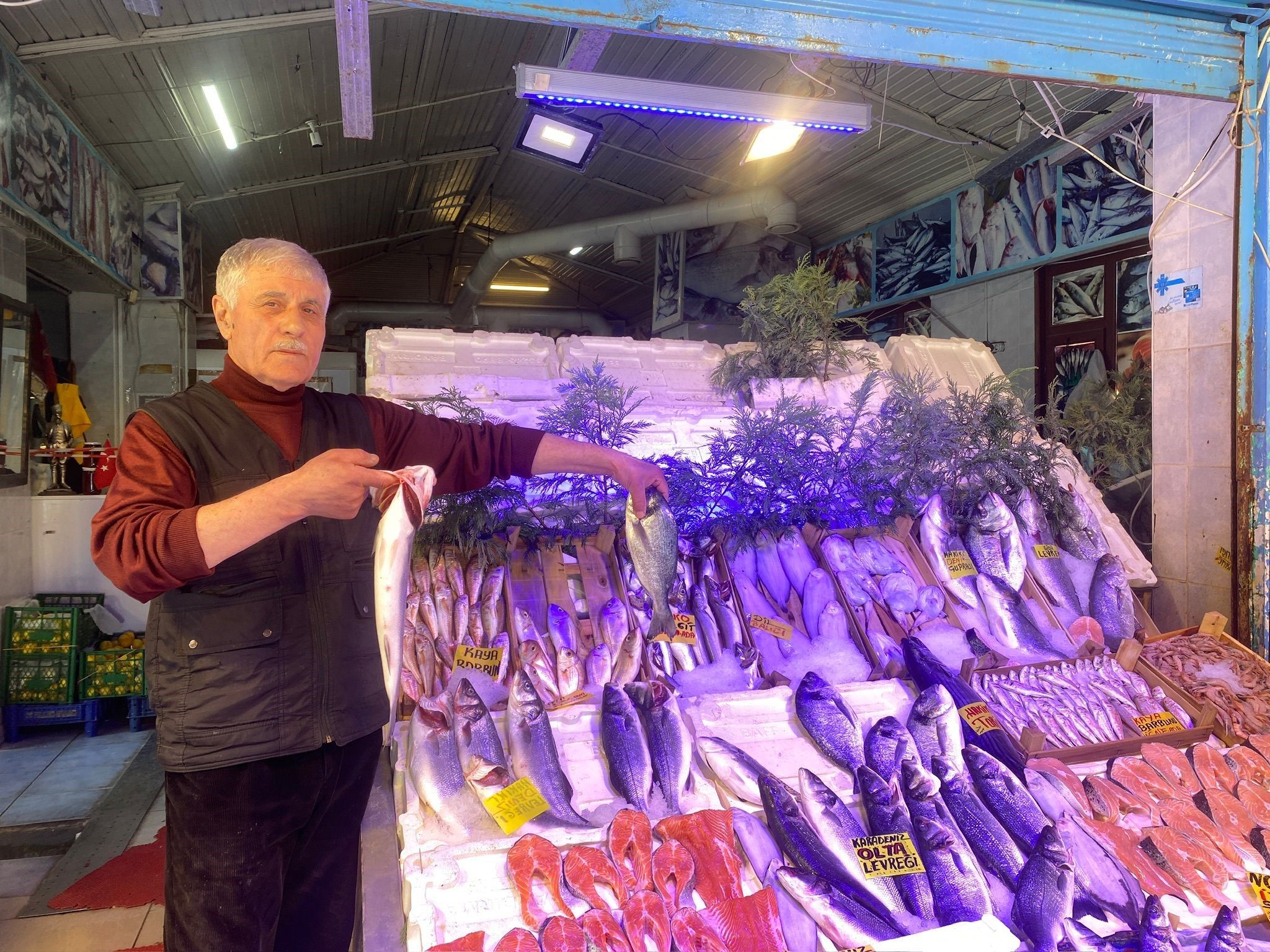 Balıkçılardan 'Fiyatlar Artacak' Uyarısı (2)