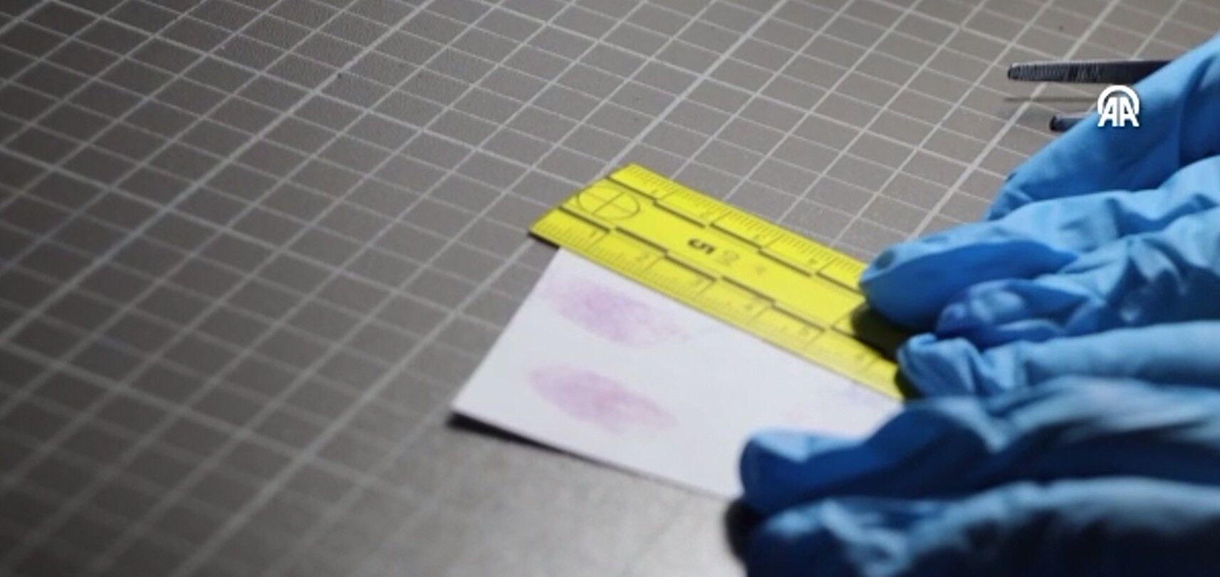 Cinayetçözüldü556 (1)