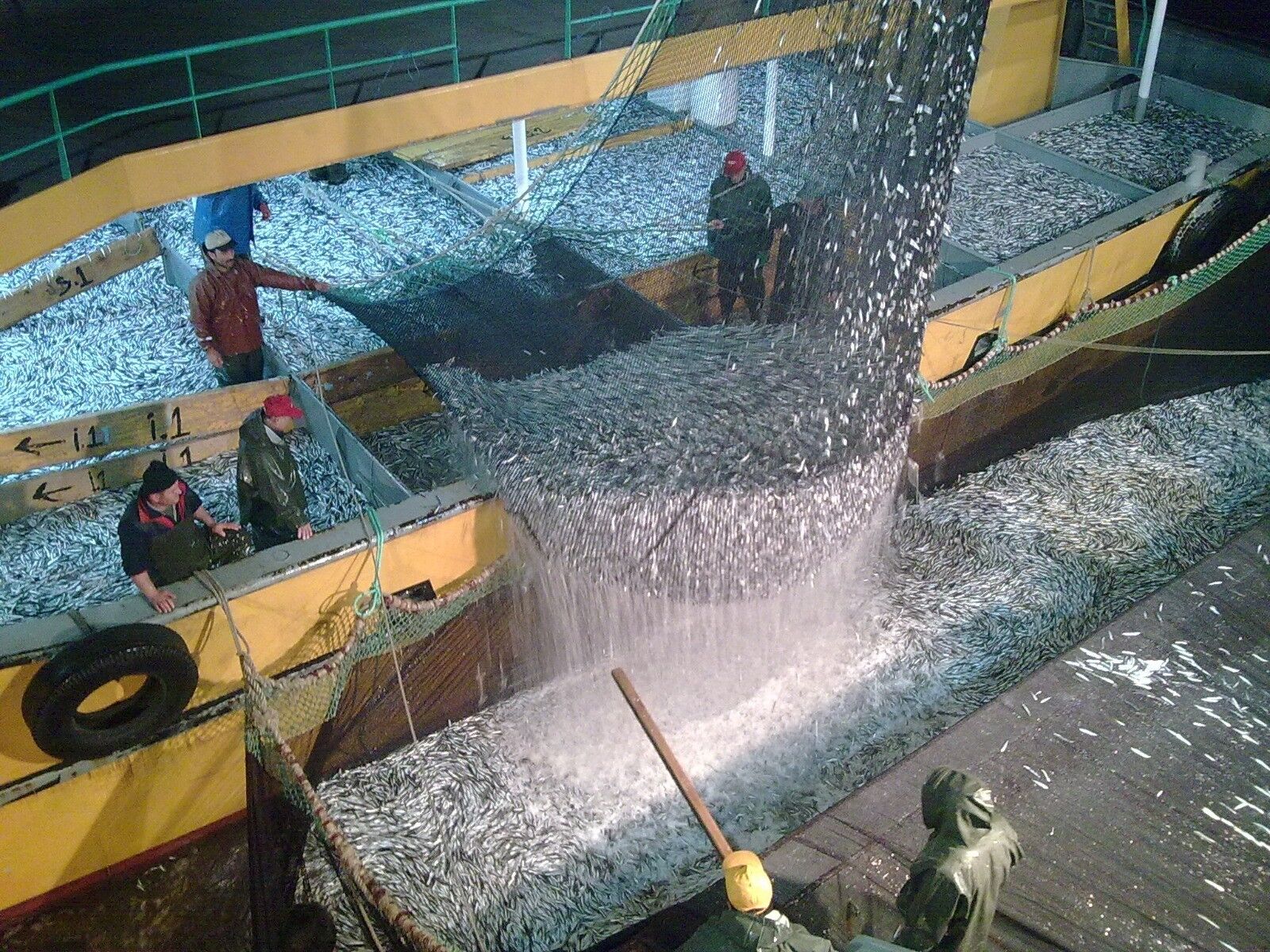 Denizlerde Av Yasağı Başladı Cezası 2 Milyon Lira! (3)