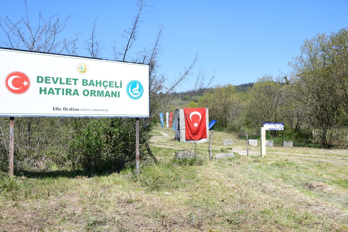 Devlet Bahceli Hatira Ormani 2