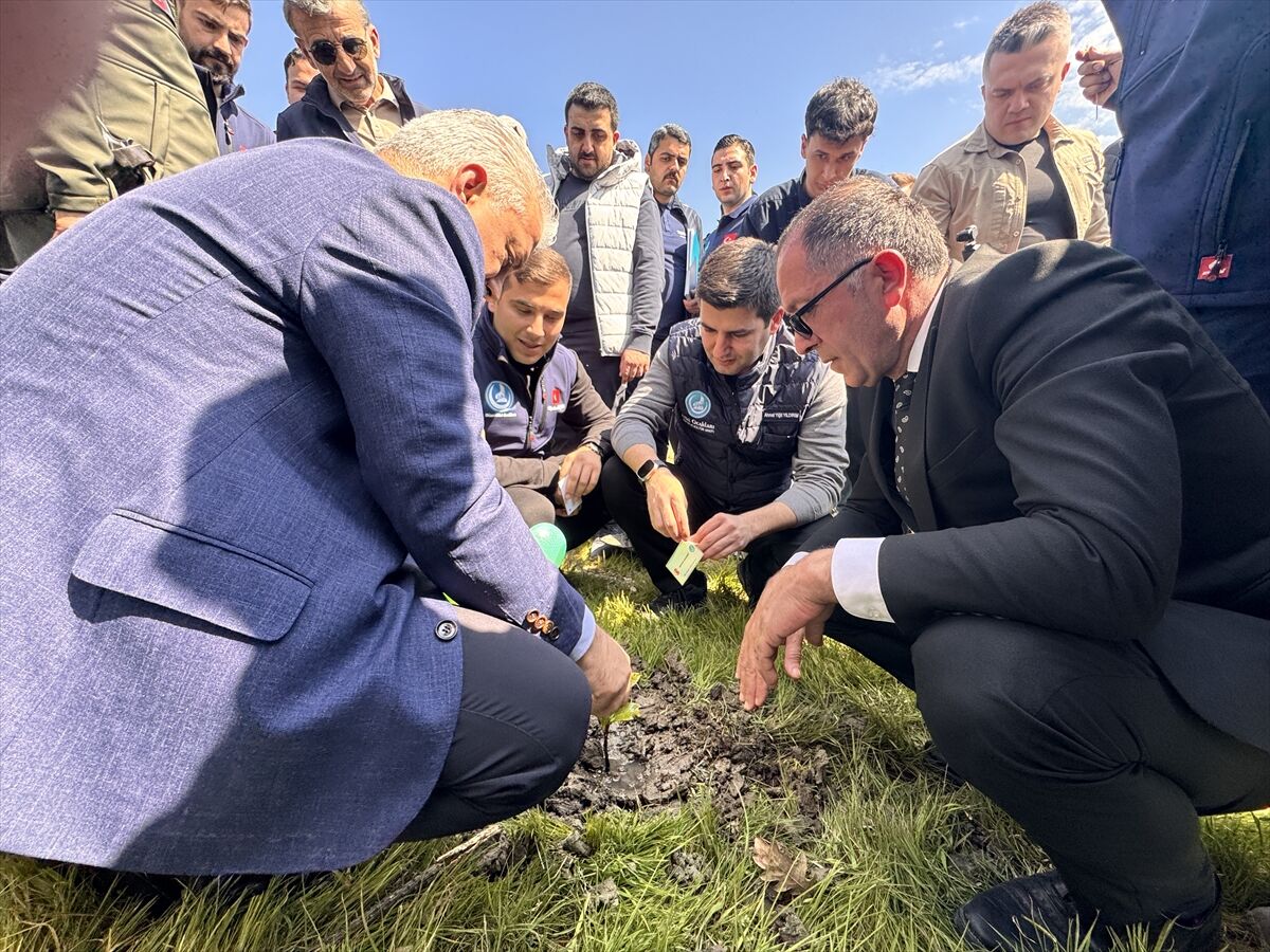 Devlet Bahceli Hatira Ormani 3