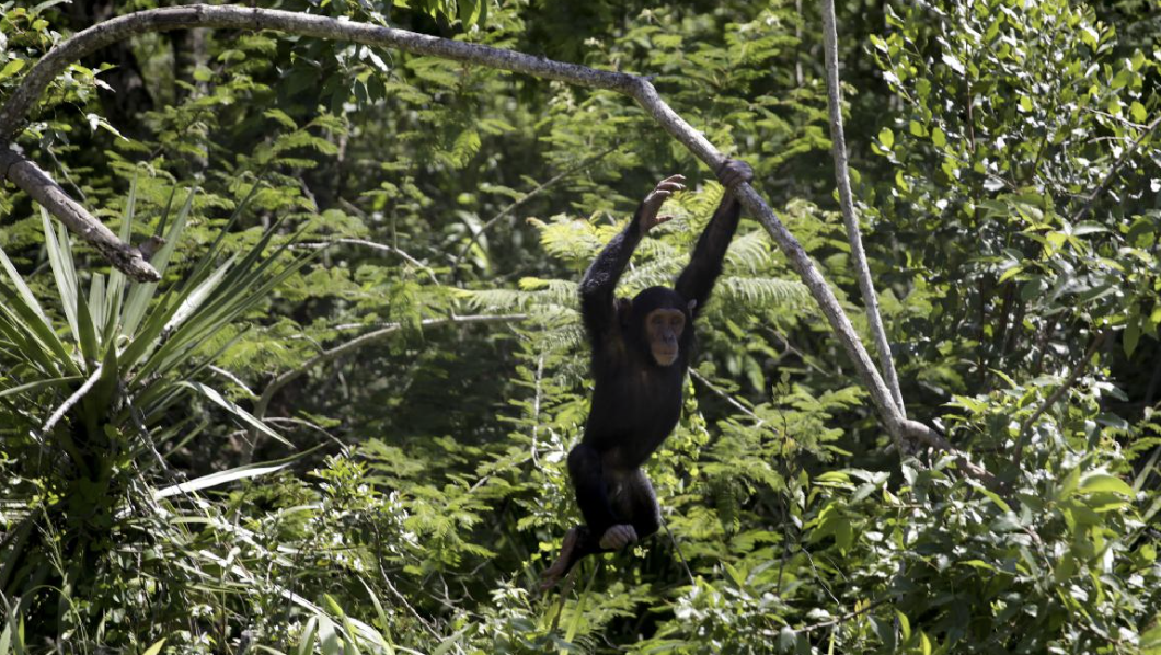 Ekran Resmi 2026 04 11 13.56.59