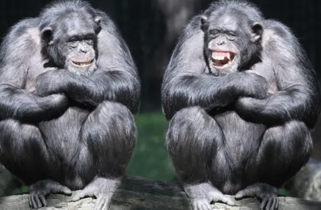 Ekran Resmi 2026 04 11 13.57.18