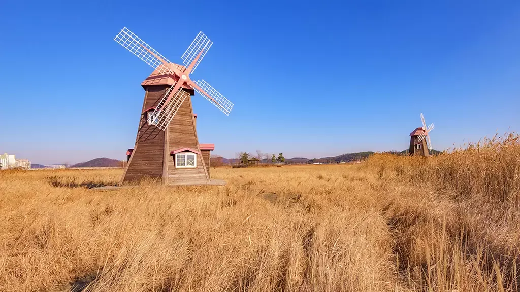 Hangi̇ Yapilar Tarimsal Sayilacak
