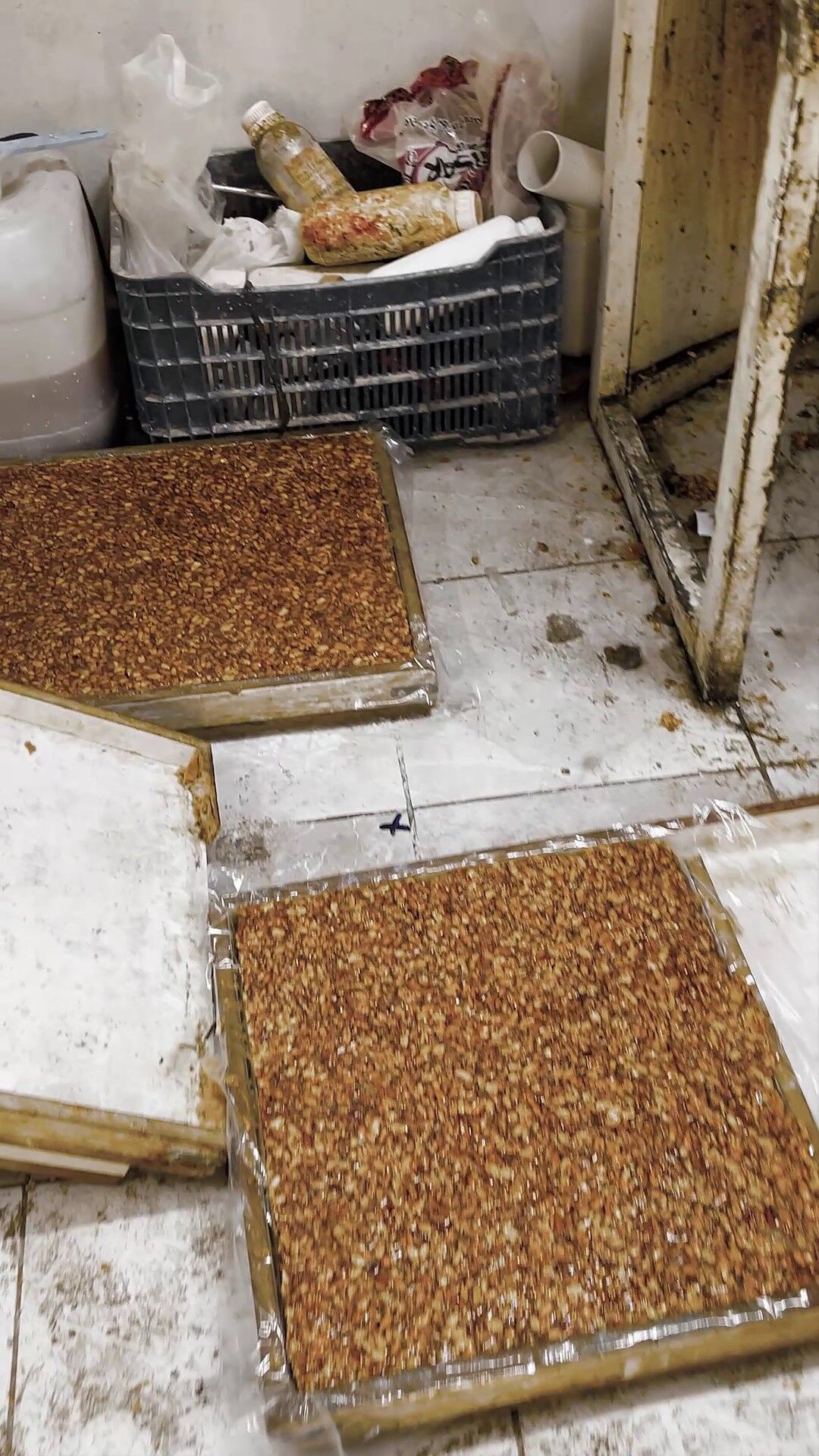 Hatayda Mide Bulandiran Manzarayi Koku Ele Verdi 1