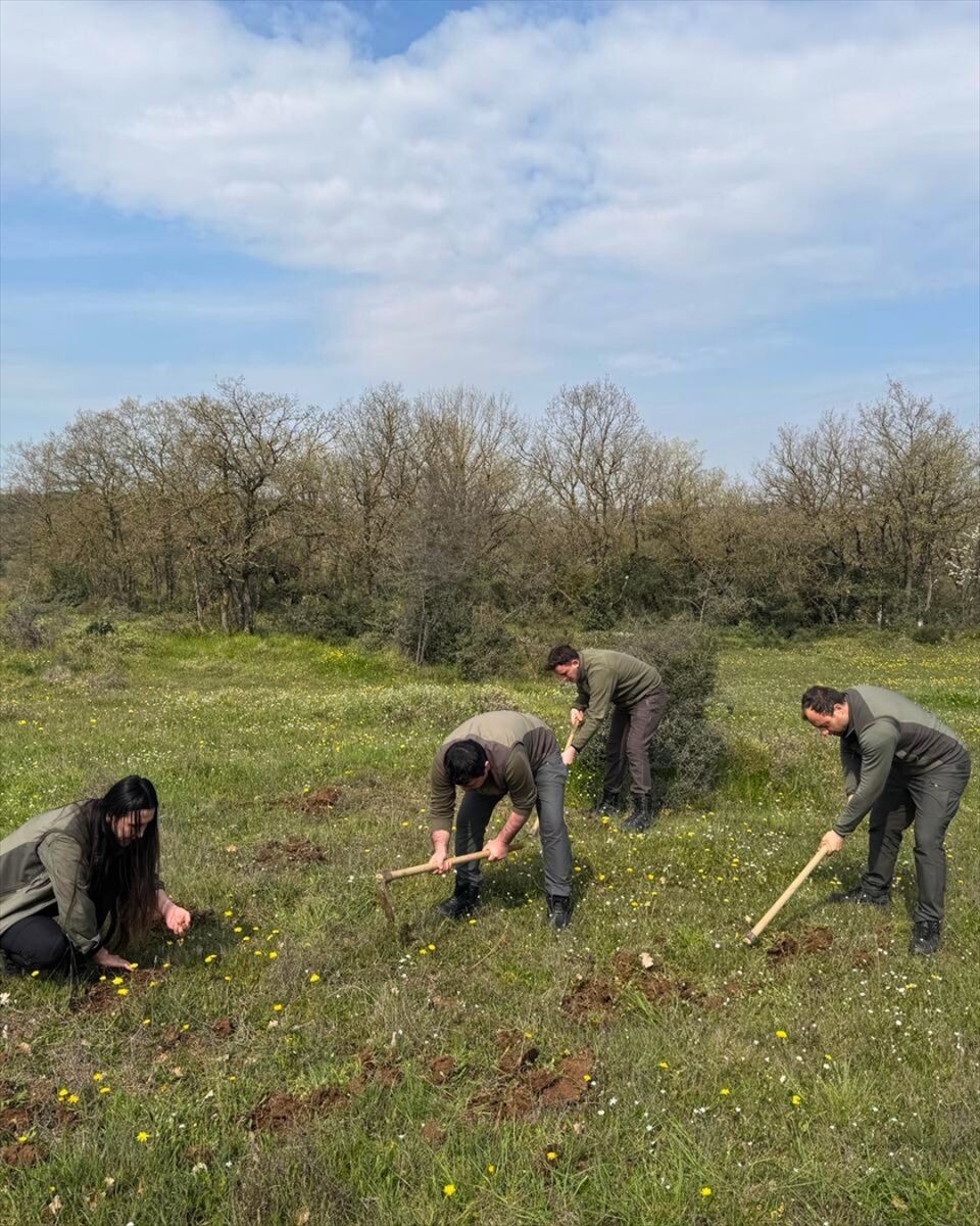 Kocaeli'de Kaçak Salep Avcısına Rekor Ceza (2)