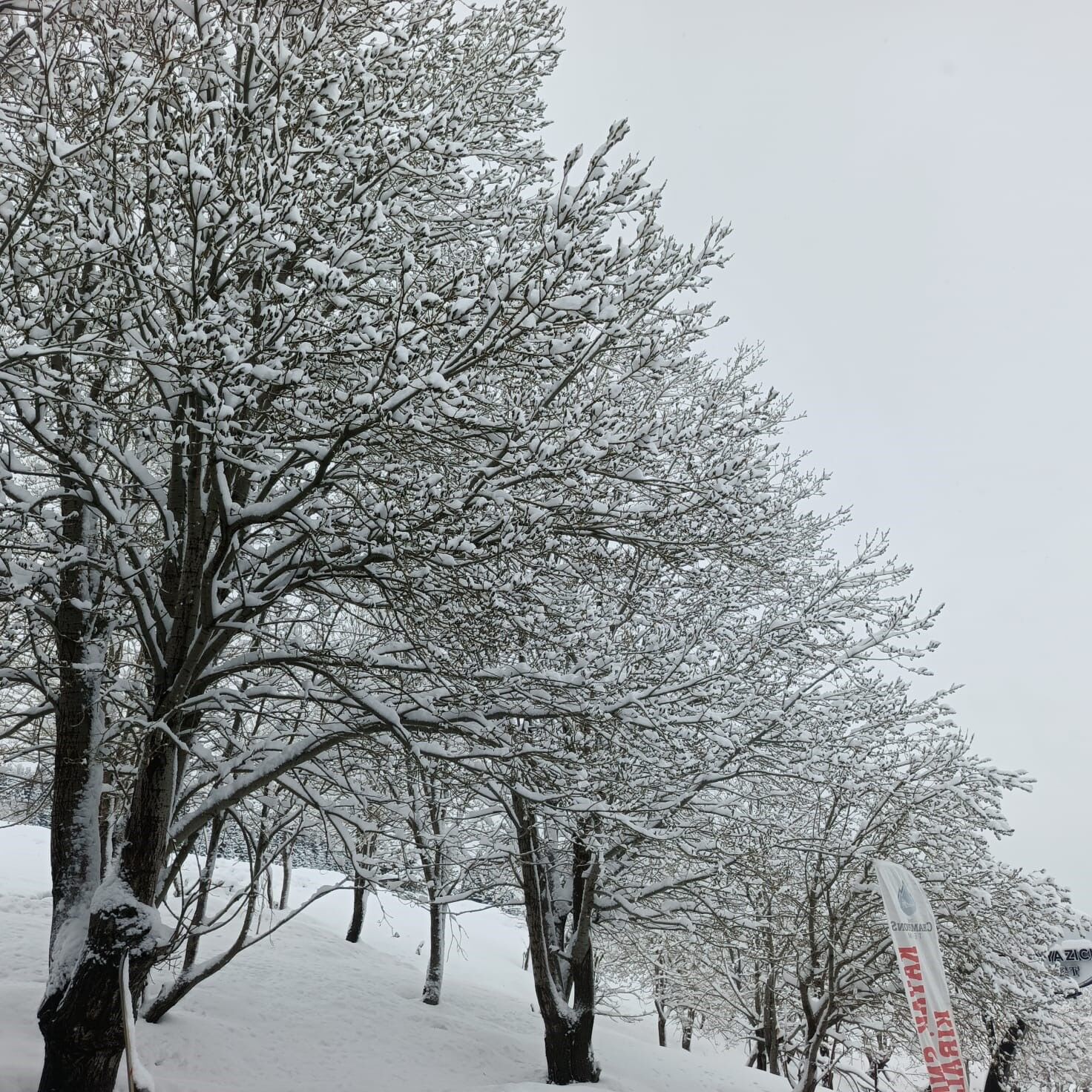 Nisan Sonunda Uludaga Kis Geri Dondu 3