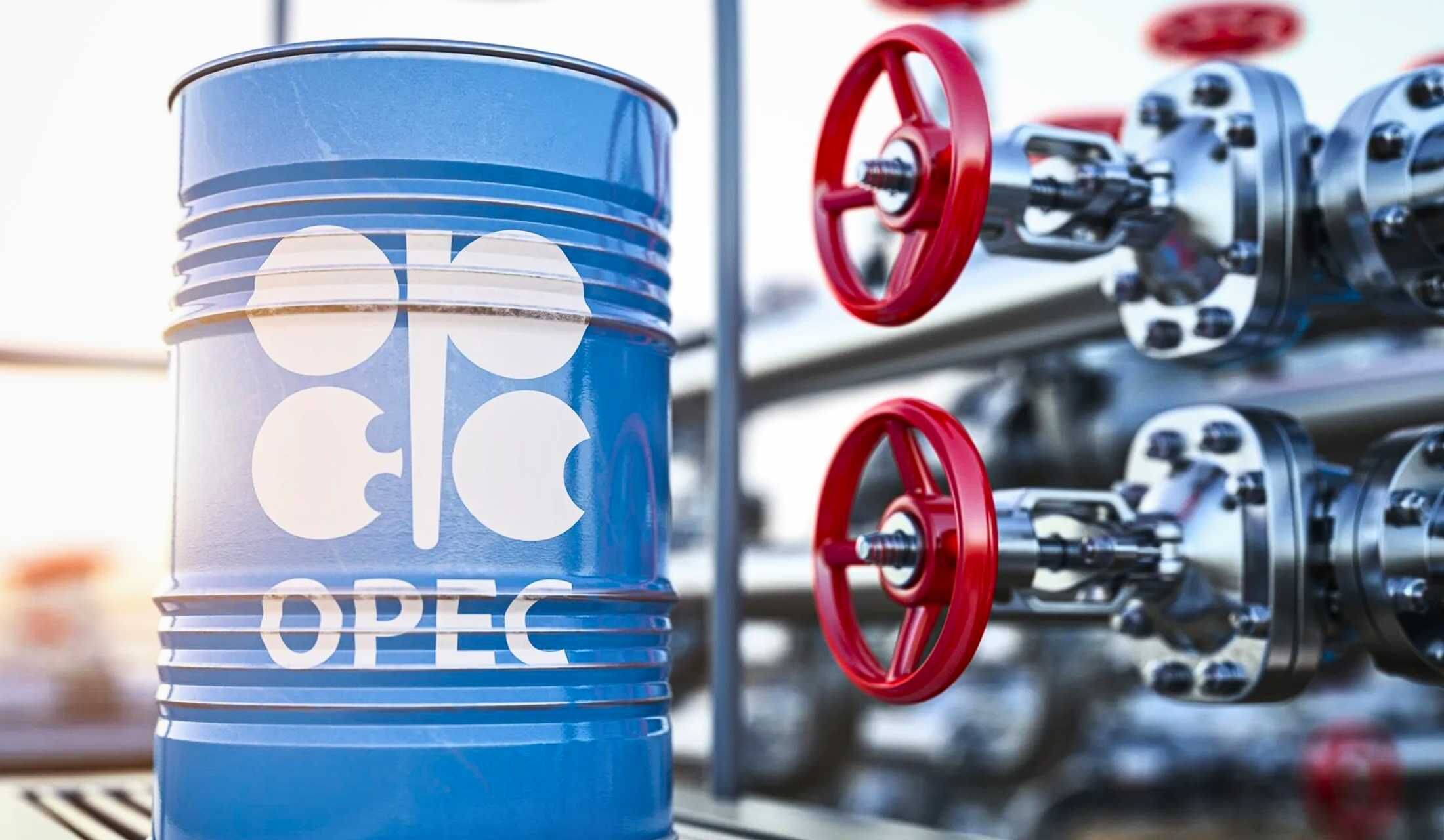 Opec Nedir Hangi Ulkeler Uye Petrol Uretici Ulkelerin Karar Mekanizmasi