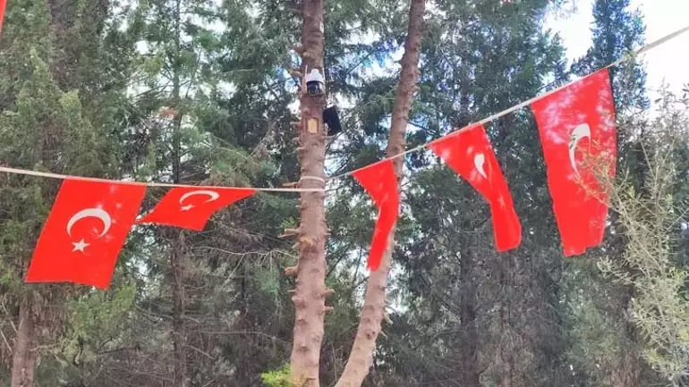 Sude Sarıkaya Türk Bayrakları