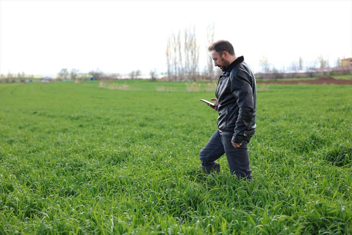 Tarımda Yapay Zeka Devrimi Çiftçinin Sorununu Çözen Yazılı (2)