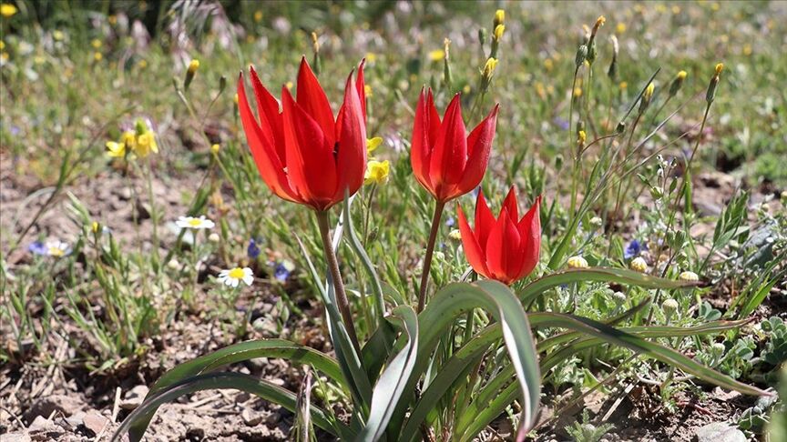 Thumbs B C 6926Fd5Fecffebf9248Aa4B2C394B820