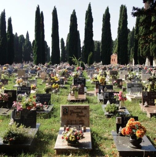 Ü N L Ü M O D E L55566