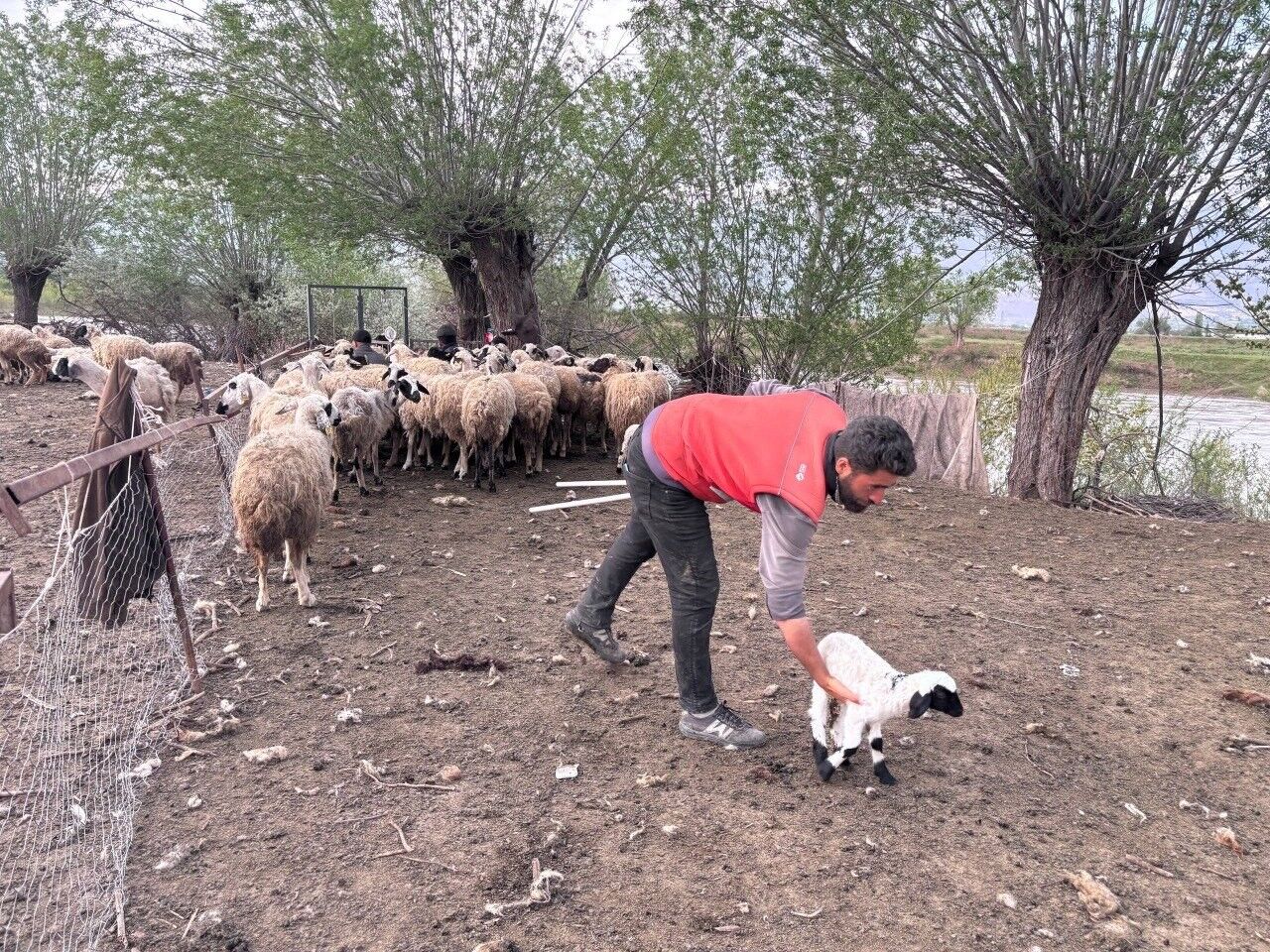 Afgan Cobanlar Asgari Ucretle Goreve Basladi Iha 1