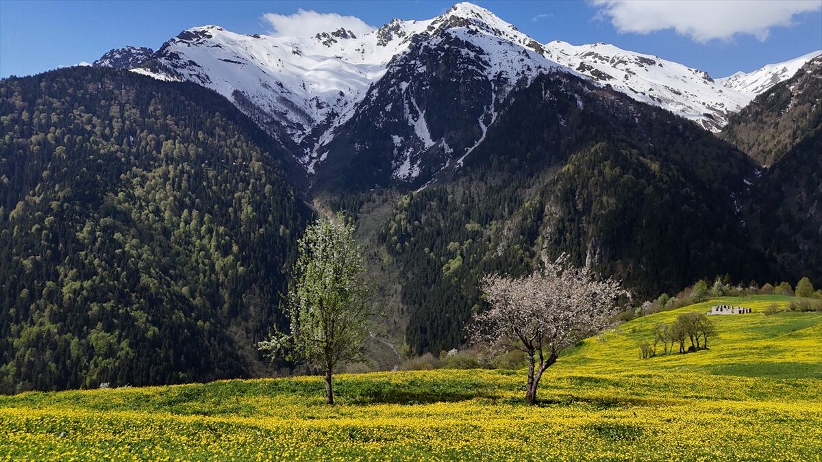Alpler Kaçkar10