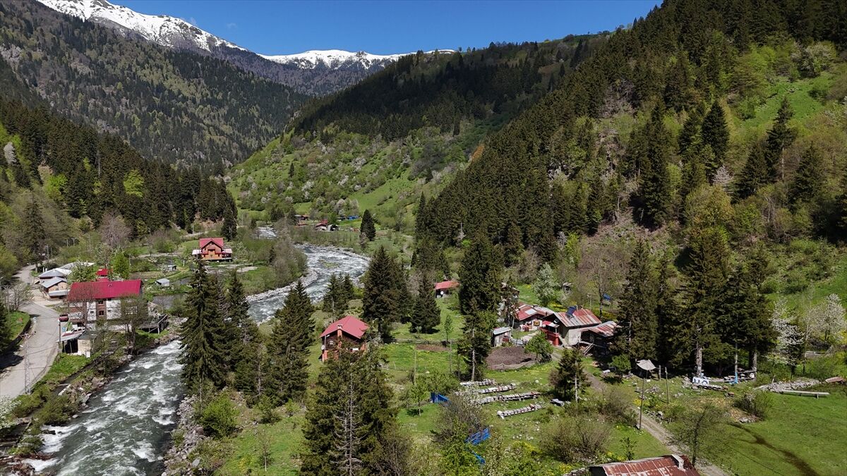 Alpler Kaçkar12