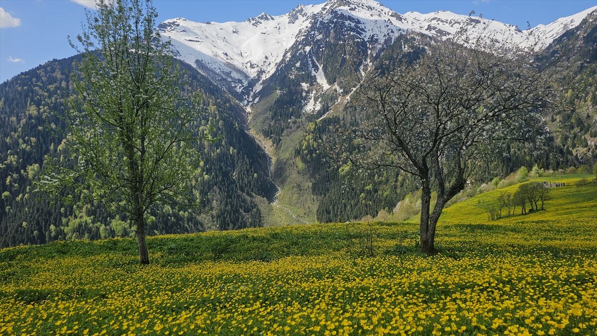 Alpler Kaçkar2