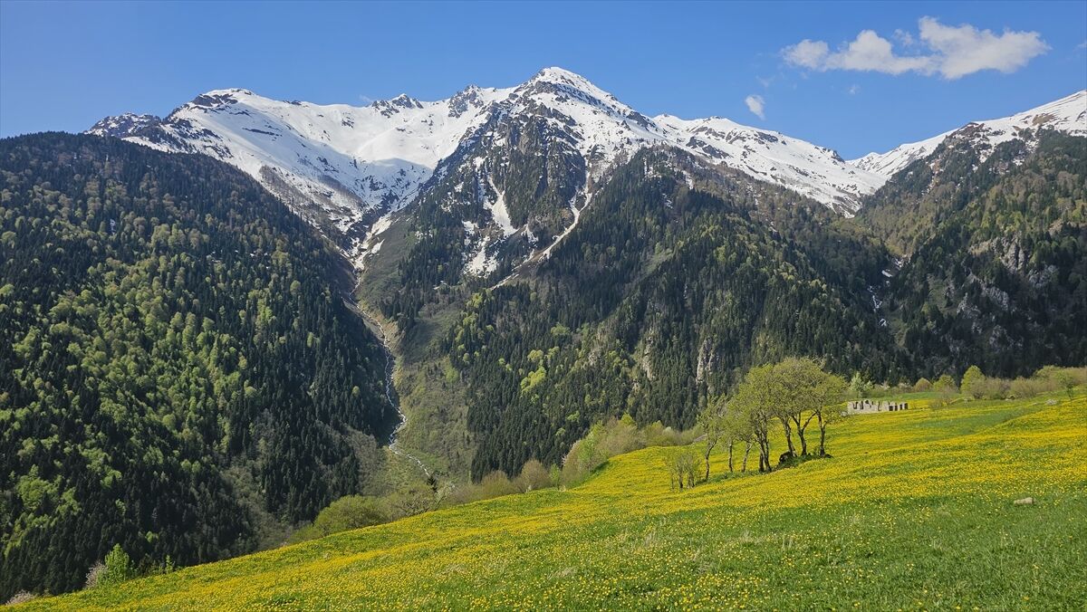Alpler Kaçkar3