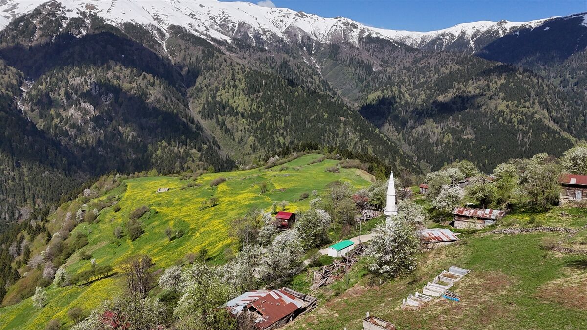 Alpler Kaçkar8