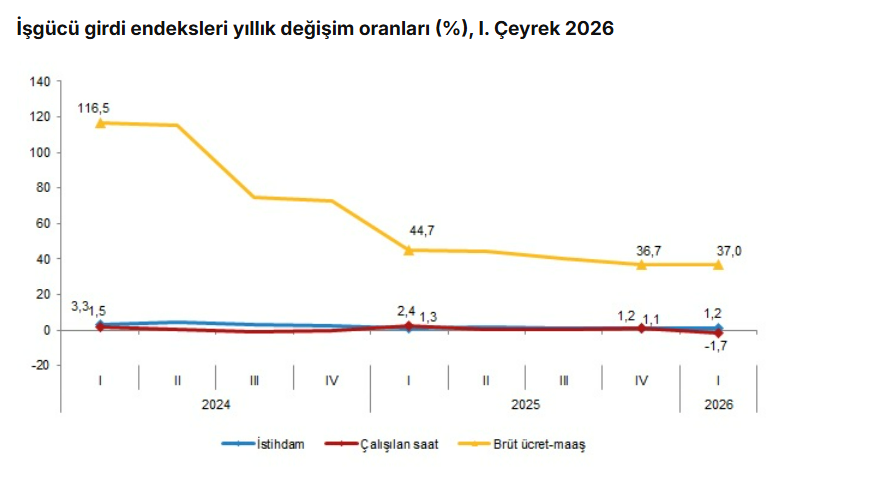 iş gücü girdi