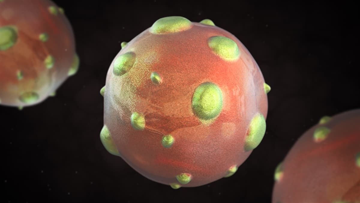 Hanta Virus Nedir 16654 95610 B