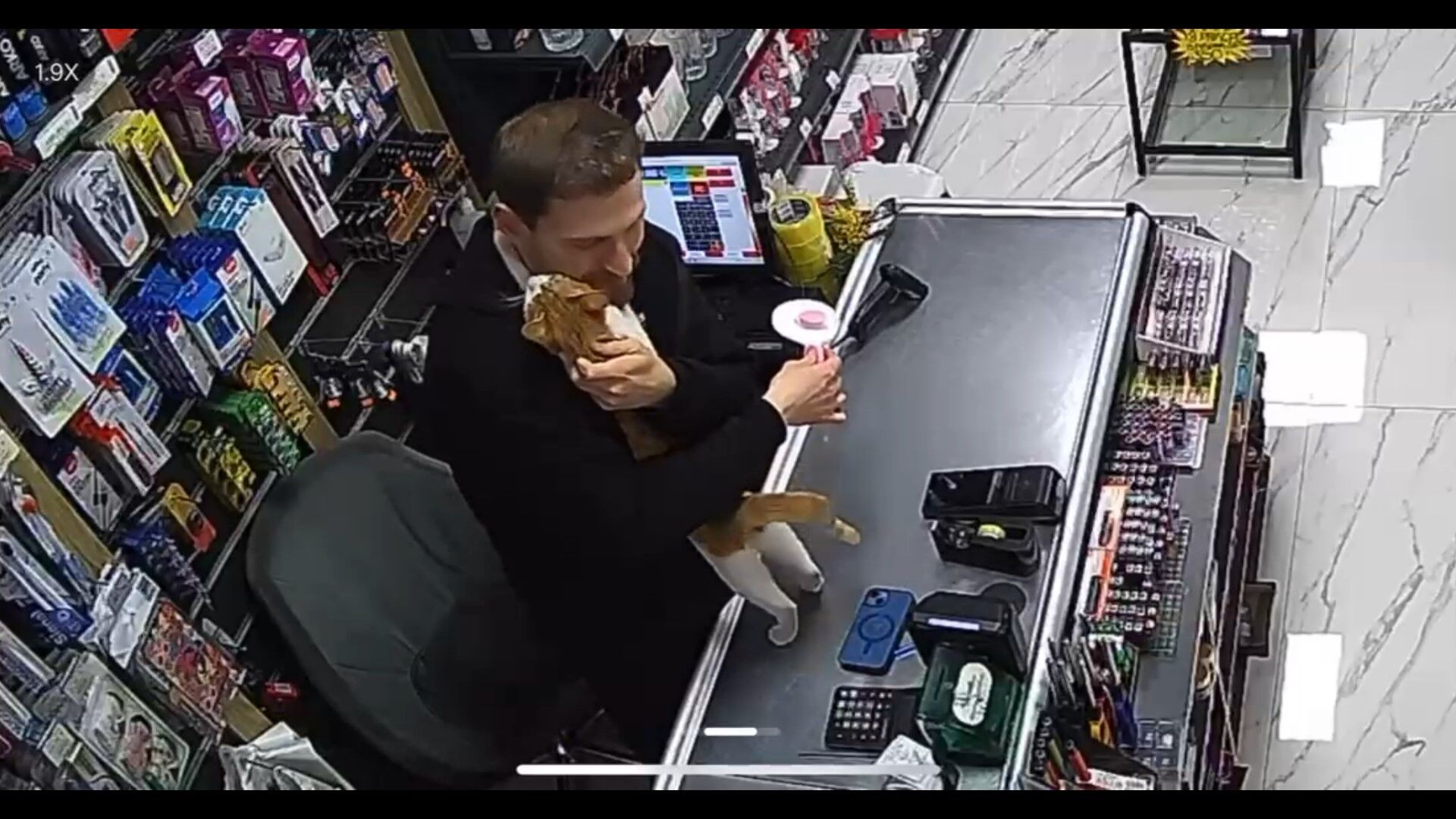 Kedi Ile Esnafin Dostlugu Iha 3