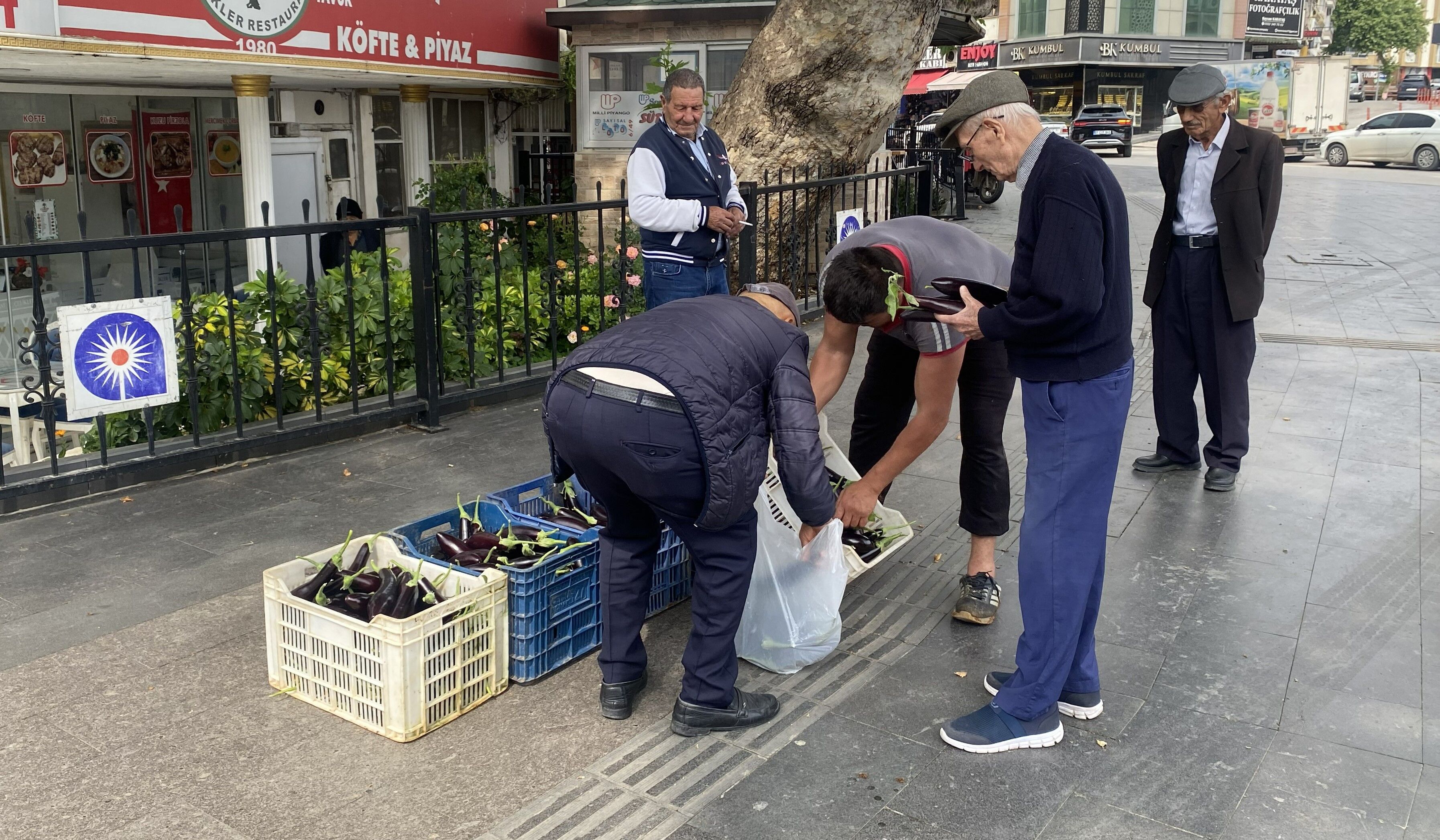 Patlicanları Bedavaverdi0025