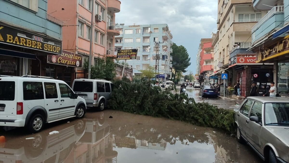 Sanliurfa Birecik Firtina Minare Yikildi (3)