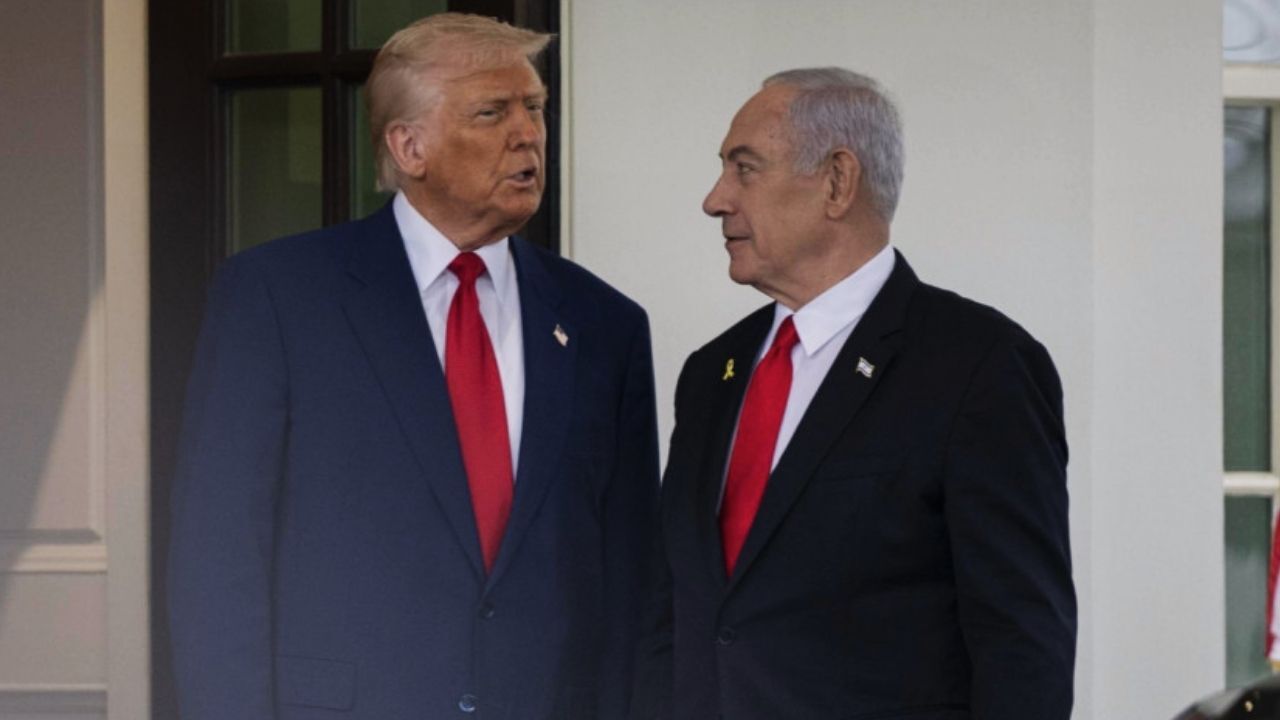 Trump Net (2)