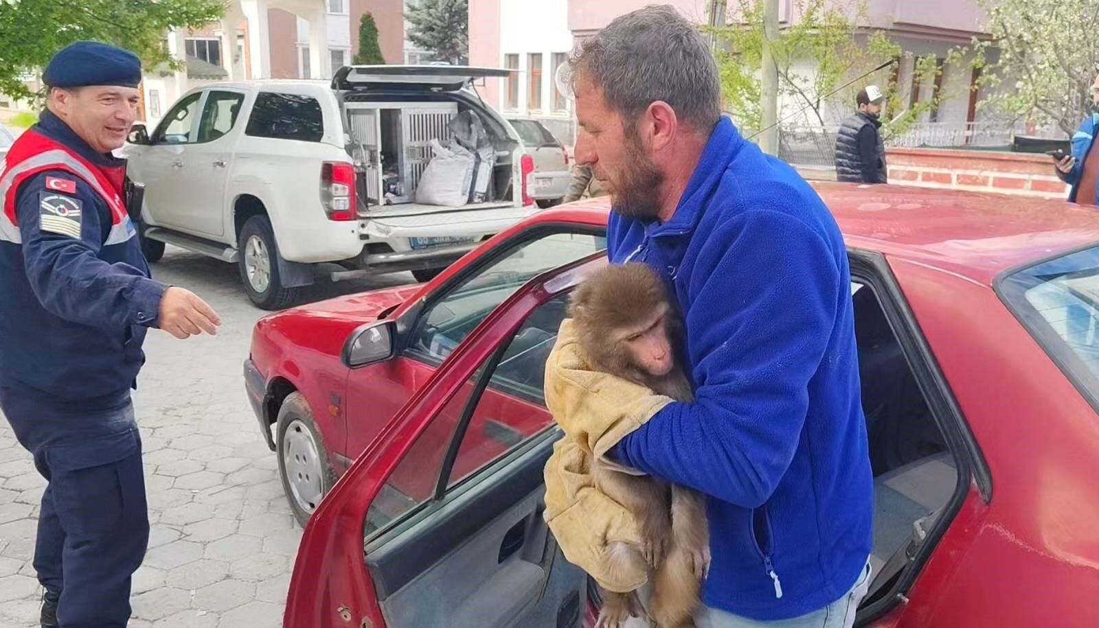 Yozgatmaymun67 (2)