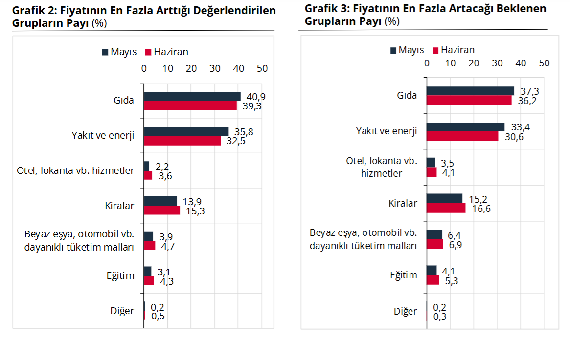 hanehalkı enflasyon 2