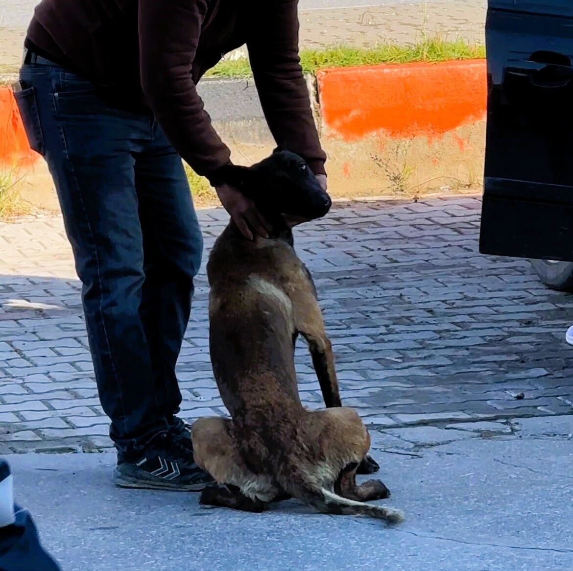 Tekmelere Aldırmayan Köpek Kadına Saldırdı Ortaya Çıkan Tablo Korkunç 4