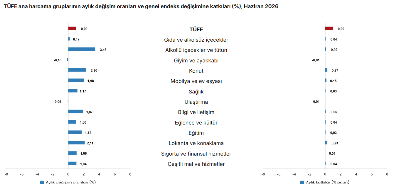 enflasyon alt kırılımı aylık